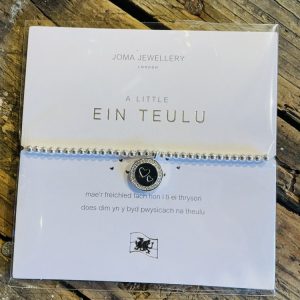 A Little (Ein Teulu) 'Family' Bracelet